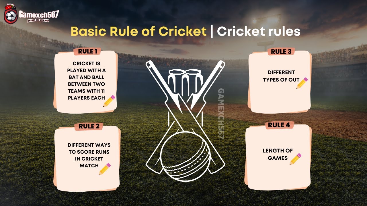 Basic Rule of Cricket | Cricket rules