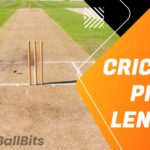 Cricket Pitch Length – 10 Must know things