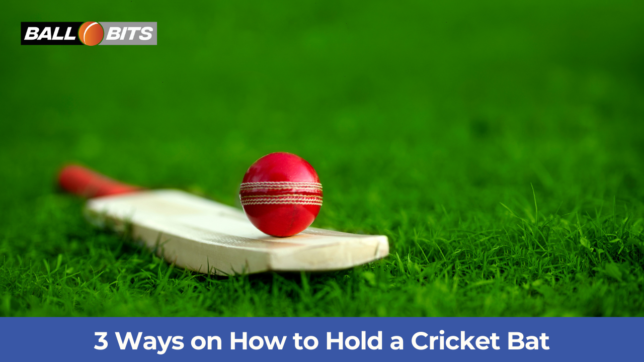 How to hold a cricket bat