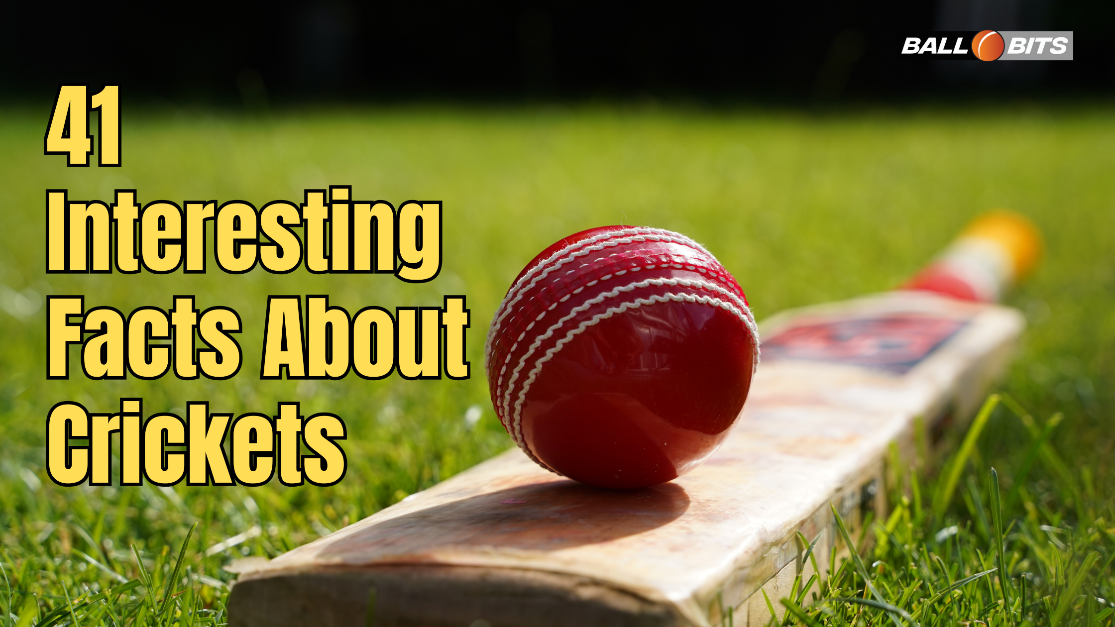 interesting facts about crickets